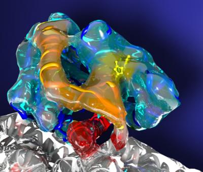 A Molecular Motor Gives Up Its Secrets