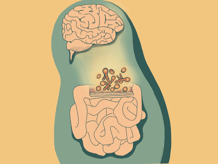 Fungi in the intestinal mucosa