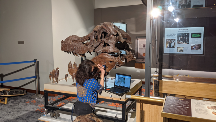 O'Connor working with fossil