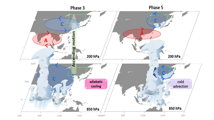 Two cooling processes causing the persistent extreme cold events in Northeast China associated with the (a) eastern Indian Ocean and (b) western Pacific cloud clusters of Madden-Julian oscillation.