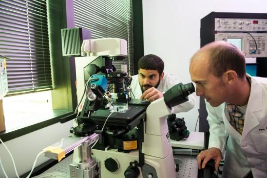 Dr. Ryan Hibbs and Claudio Morales-Perez, UT Southwestern Medical Center