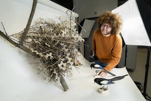 Auke-Florian Hiemstra and the magpie nest