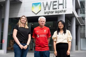 WEHI Researchers