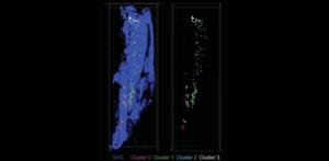 Minimally invasive longitudinal intravital imaging of cellular dynamics in the tibia