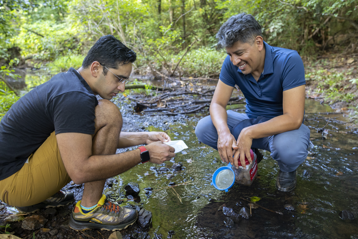 Springtail researchers