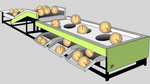Schedule of the Quantum Data Classification Protocol