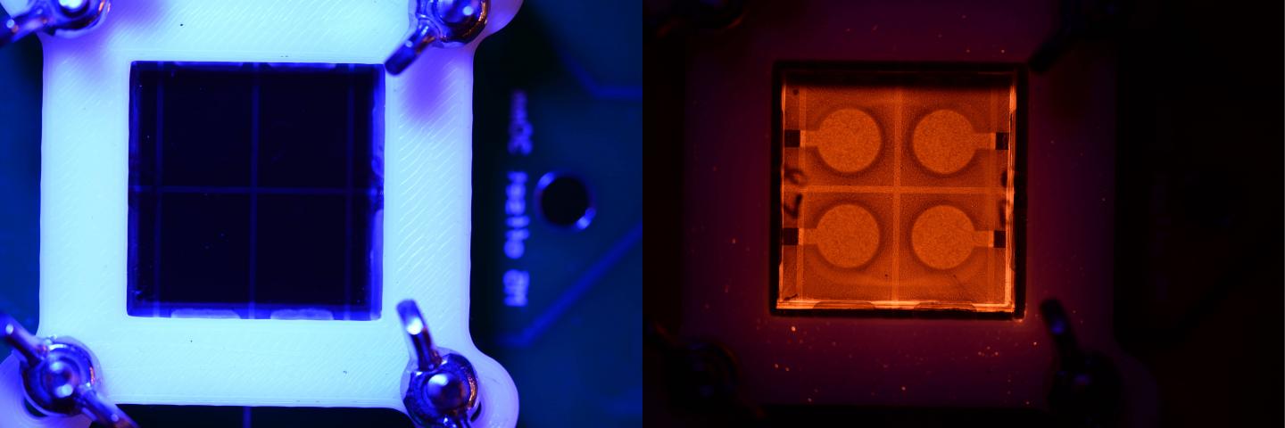 Perovskite Solar Cells Bathed in Blue Light