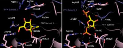 Learning 1 of Cancer's Tricks