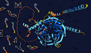 Motor protein