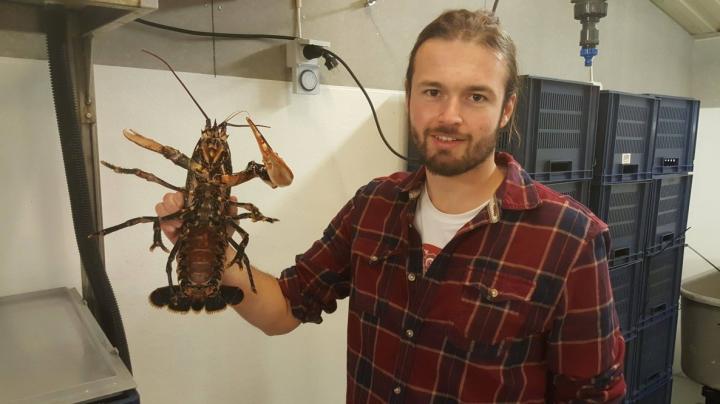 James Hinchcliffe with Lobster
