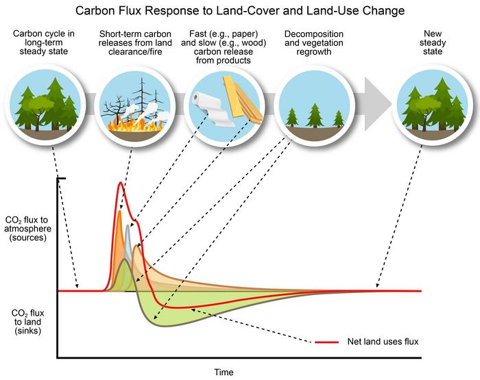 Carbon flux response, Chapter [IMAGE] | EurekAlert! Science News Releases