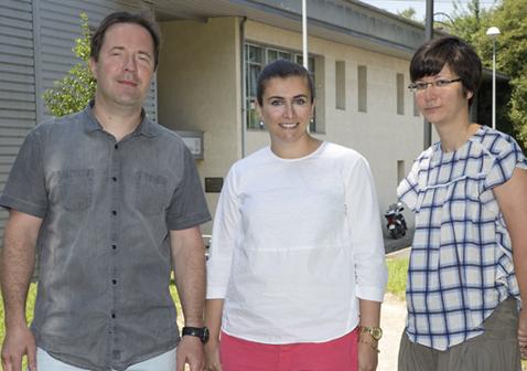 Authors of the Study