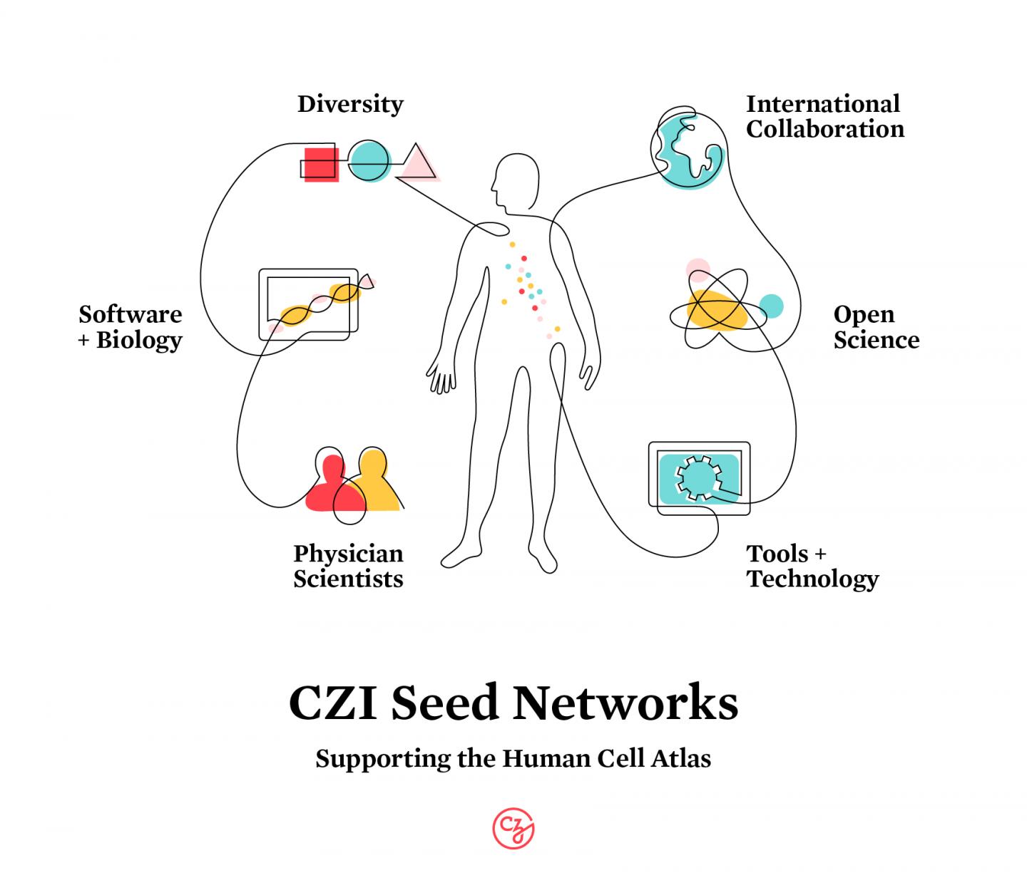 Chan Zuckerberg Initiative Seed Networks for the Human Cell Atlas