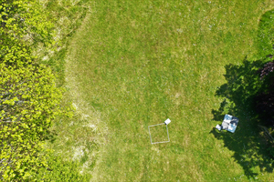 Drone image showing the distribution of wildflowers