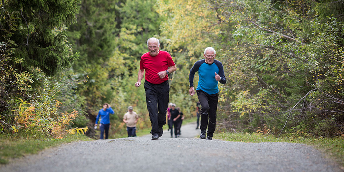 elders exercising on gravel path