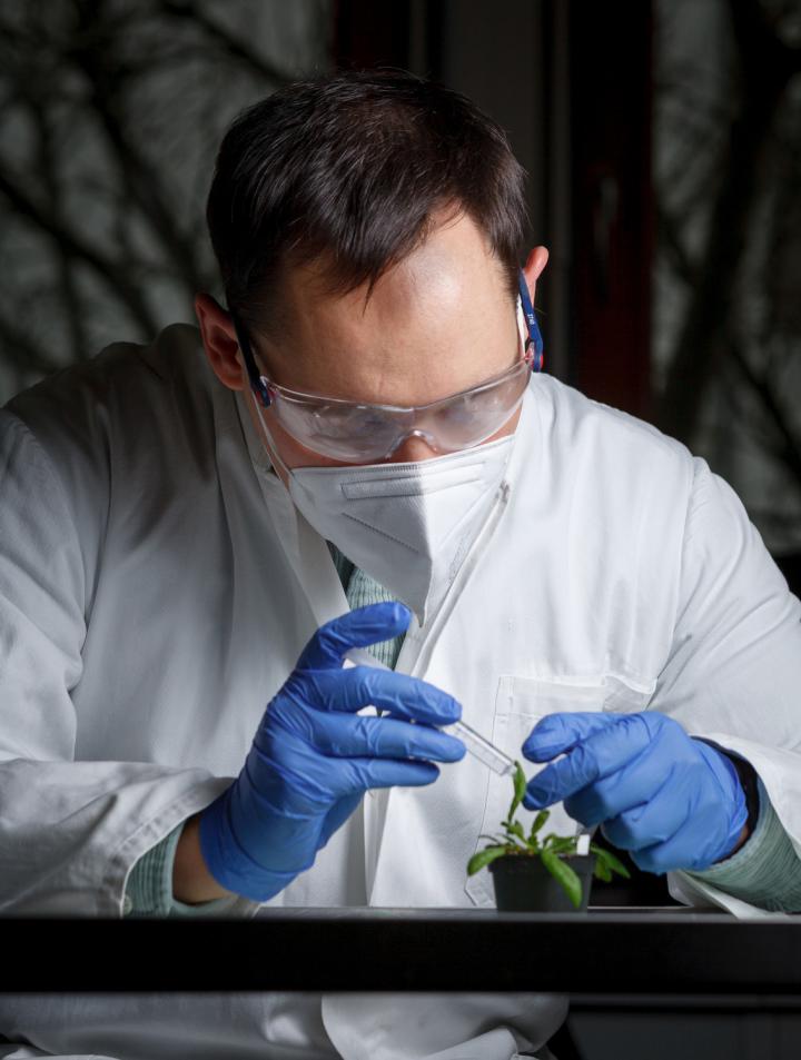 Close up of Researcher with Plant