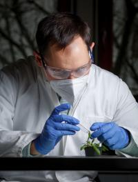 Close up of Researcher with Plant