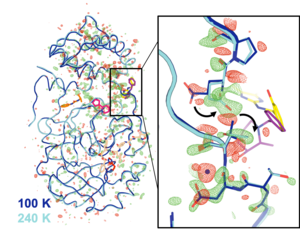 Mpro enzyme structure