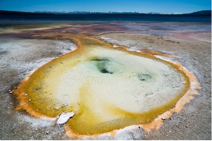 Scientists conducted microbial DNA sampling at a Yellowstone National Park hot spring for a study sponsored by DOE’s Biological and Environmental Research program, the National Science Foundation and NASA. Credit: Mircea Podar/ORNL, U.S. Dept. of Energy