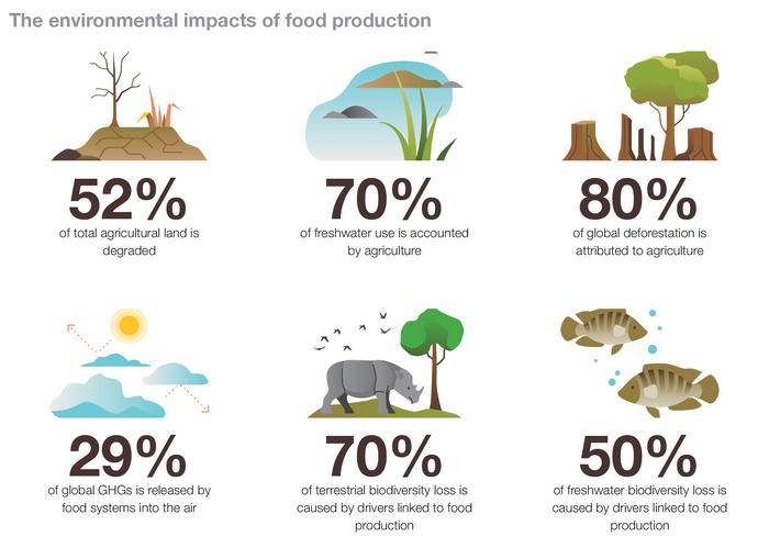 The Environmental Impacts of Food Production