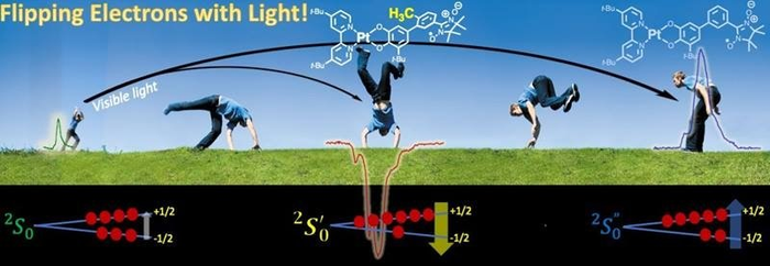 Flipping Electrons with Light