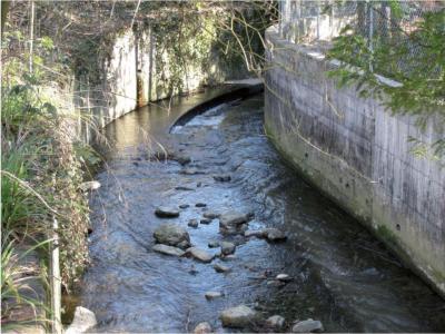 The Vauchere River Basin