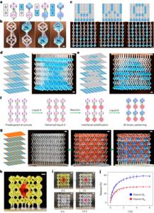 Programmable 3D liquid patterning.