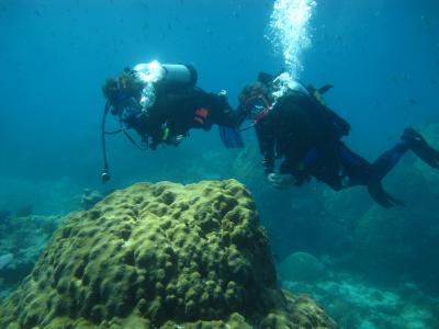 Underwater Communications Training