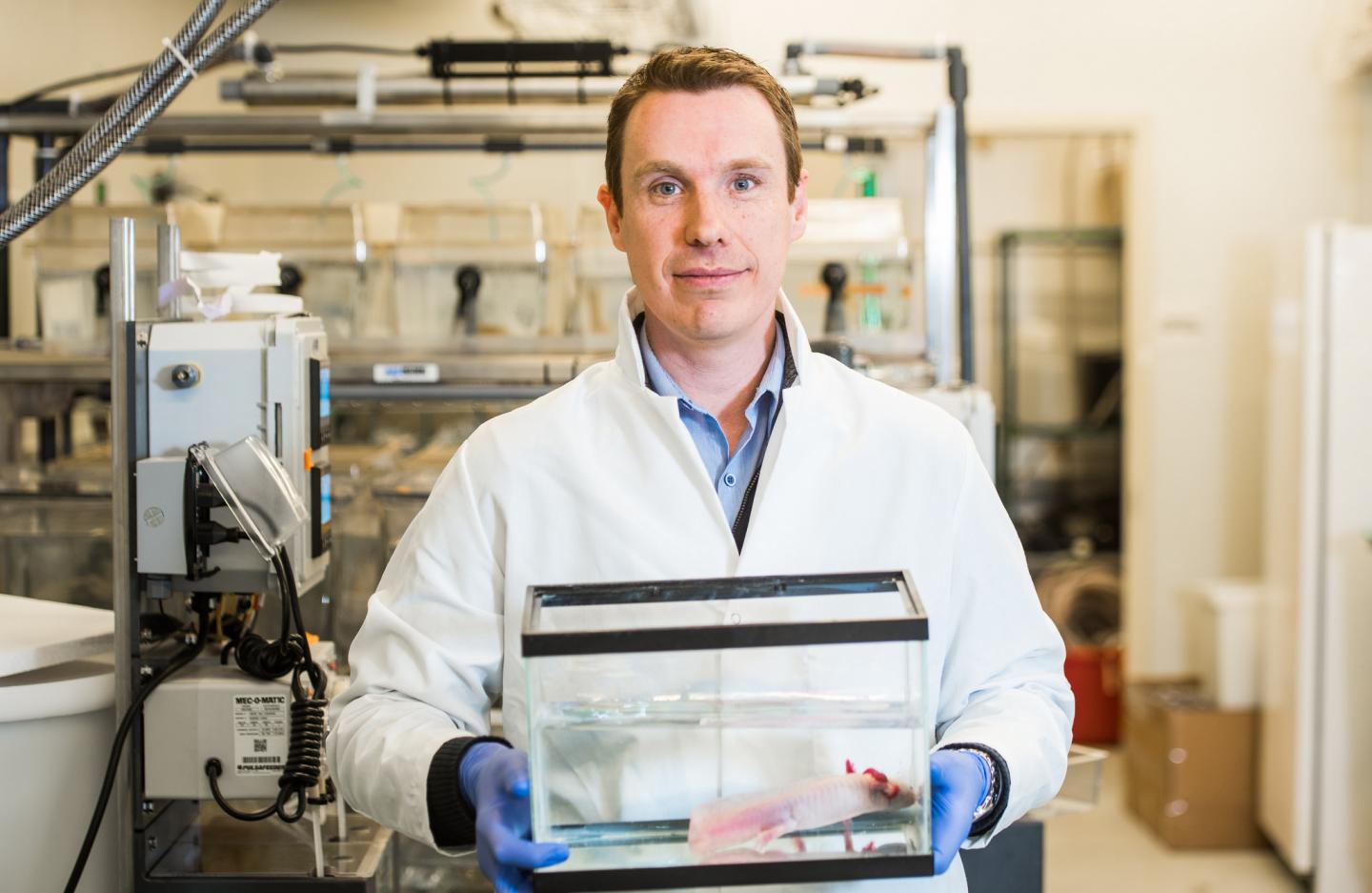 James Godwin, Ph.D., with axolotl