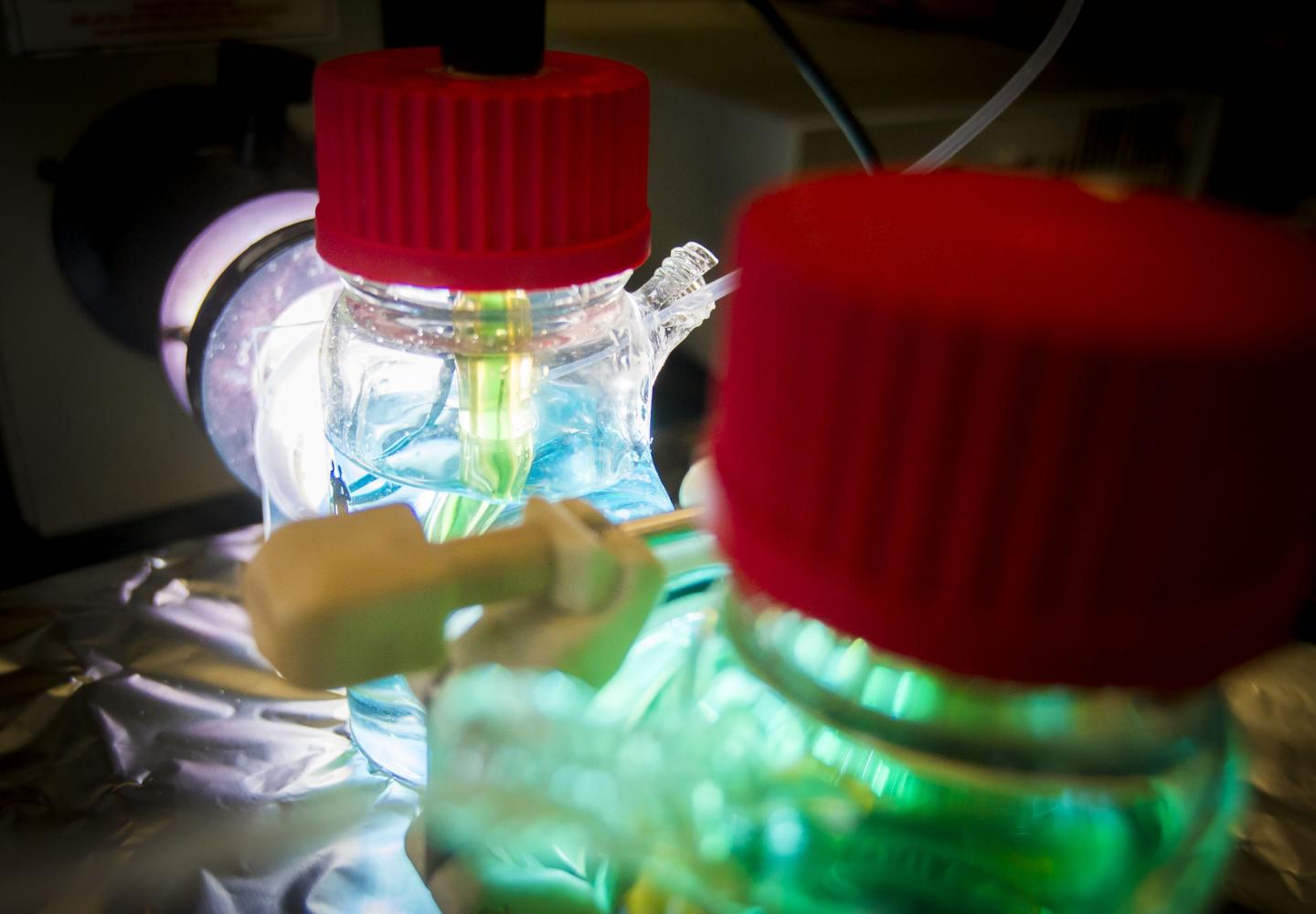 New UT Arlington Solar Cell