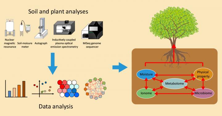 Schematic of Soil Analysis