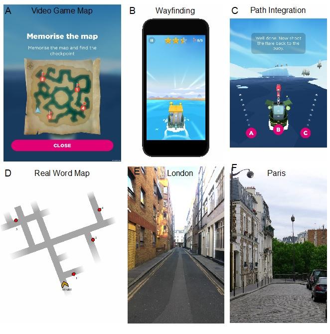 A Video Game Aids in Research on Alzheimer's Disease