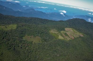 Atlantic Rainforest