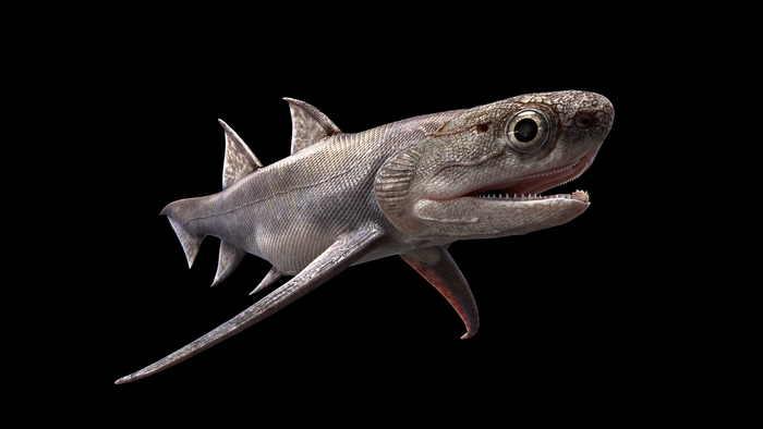 Life reconstruction of Qianodus duplicis