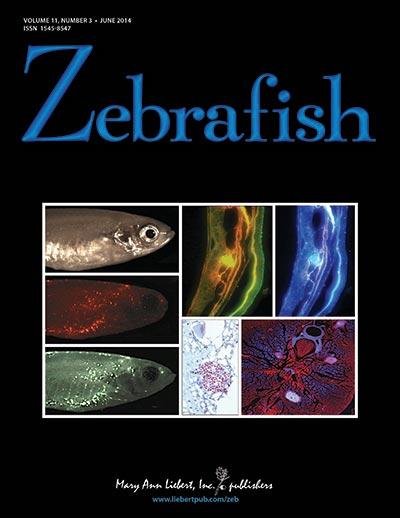 <I>Zebrafish</I>