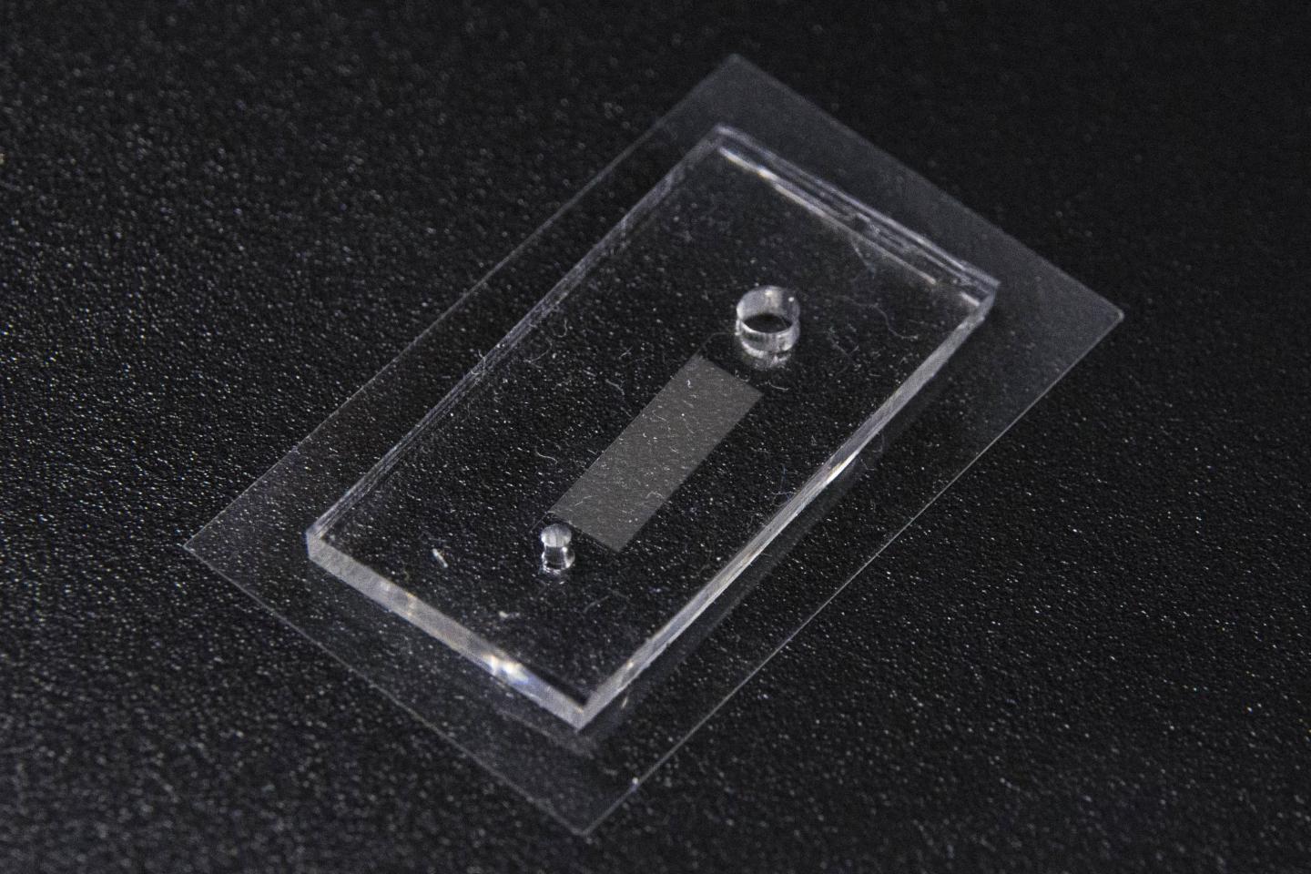 WPI/Stanford SPARTAN Sperm Sorting Device