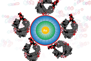 Biopharmaceutical purification interactions