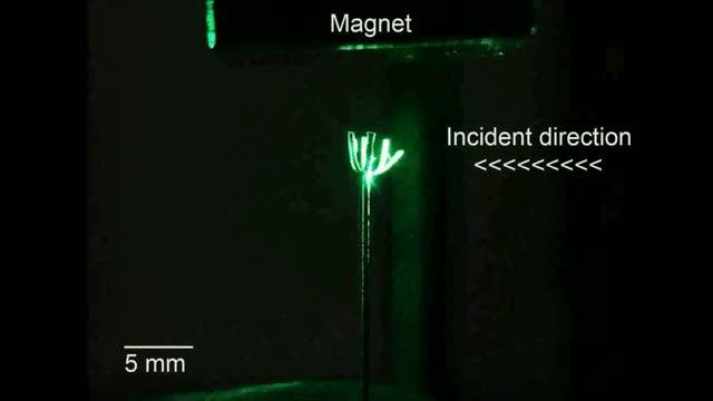 Localized Heliotactic Motion