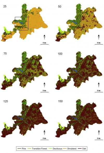 Spatial Representation of the Changes in Vegetation