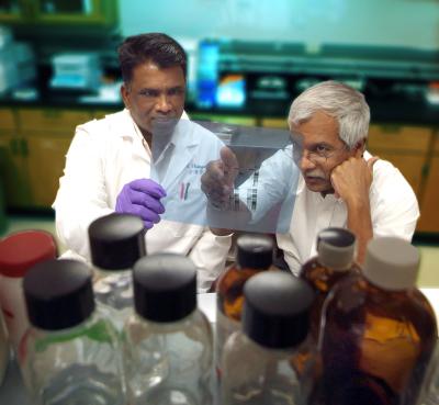 Transporter Could Help Breast Cancer Cells Commit Suicide