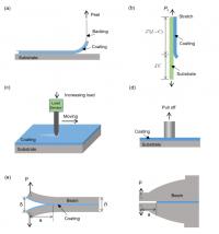 Figure 2. Tests for the adhesion of hydrogel coatings.