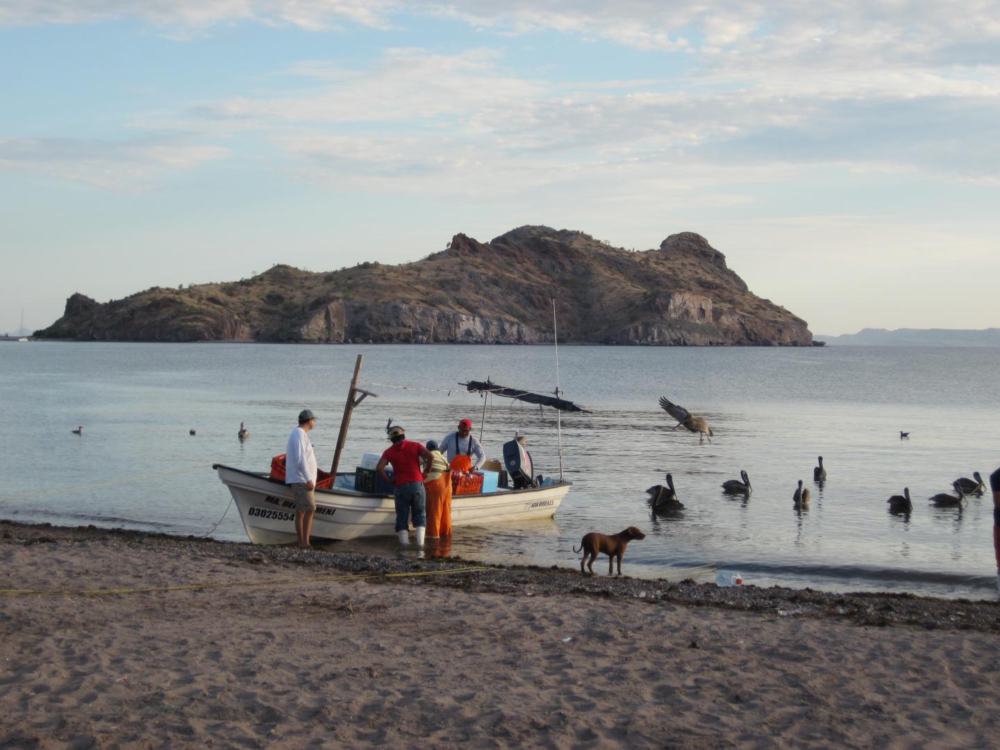Dawn at Agua Verde: Unloading the Catch