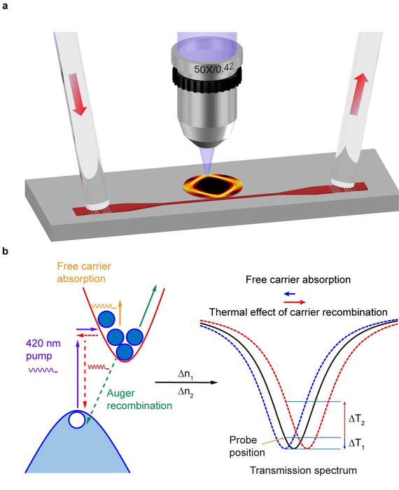 Oscillogram of the photodiode signal: a, coherent 38D resonance