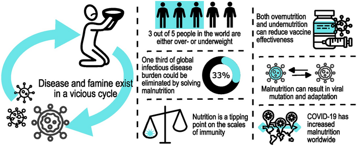 Infectious Disease and Famine: How COVID-19 increases the risk of malnutrition, and vice versa, in a vicious cycle
