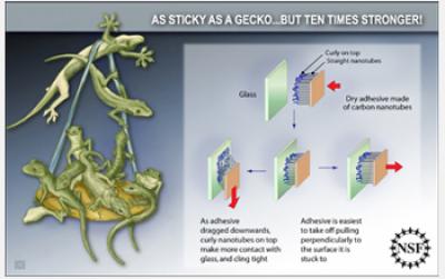 Gecko-Inspired Adhesive