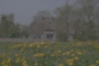 Cataract Effects (1 of 3)