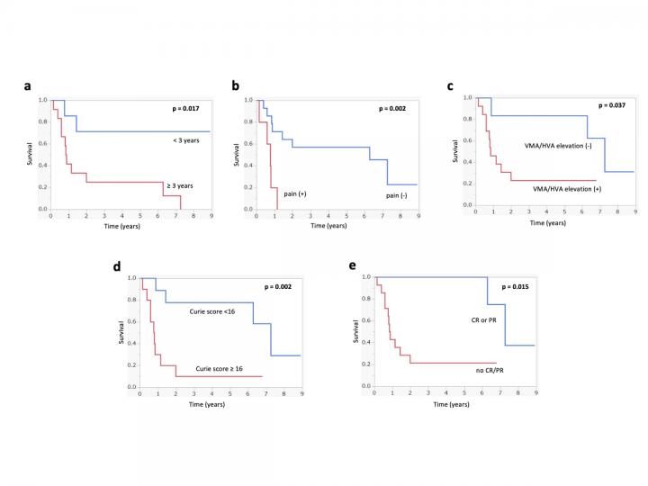 Figure 3 Image Eurekalert Science News Releases 