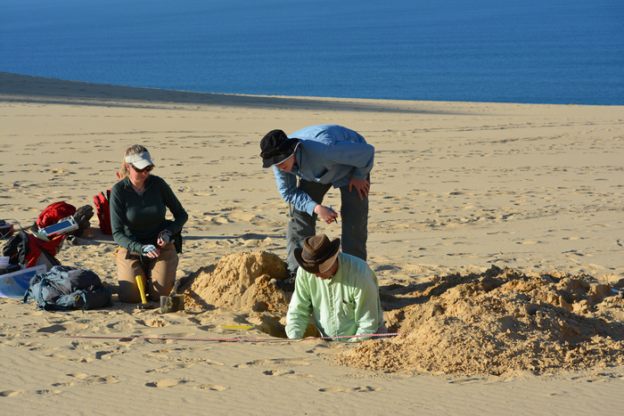 Scientists test Eolian Sands on K'Gari (Fraser Island)