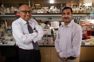 Sankar Swaminathan, M.D. and Dinesh Verma, Ph.D., University of Utah School of Medicine