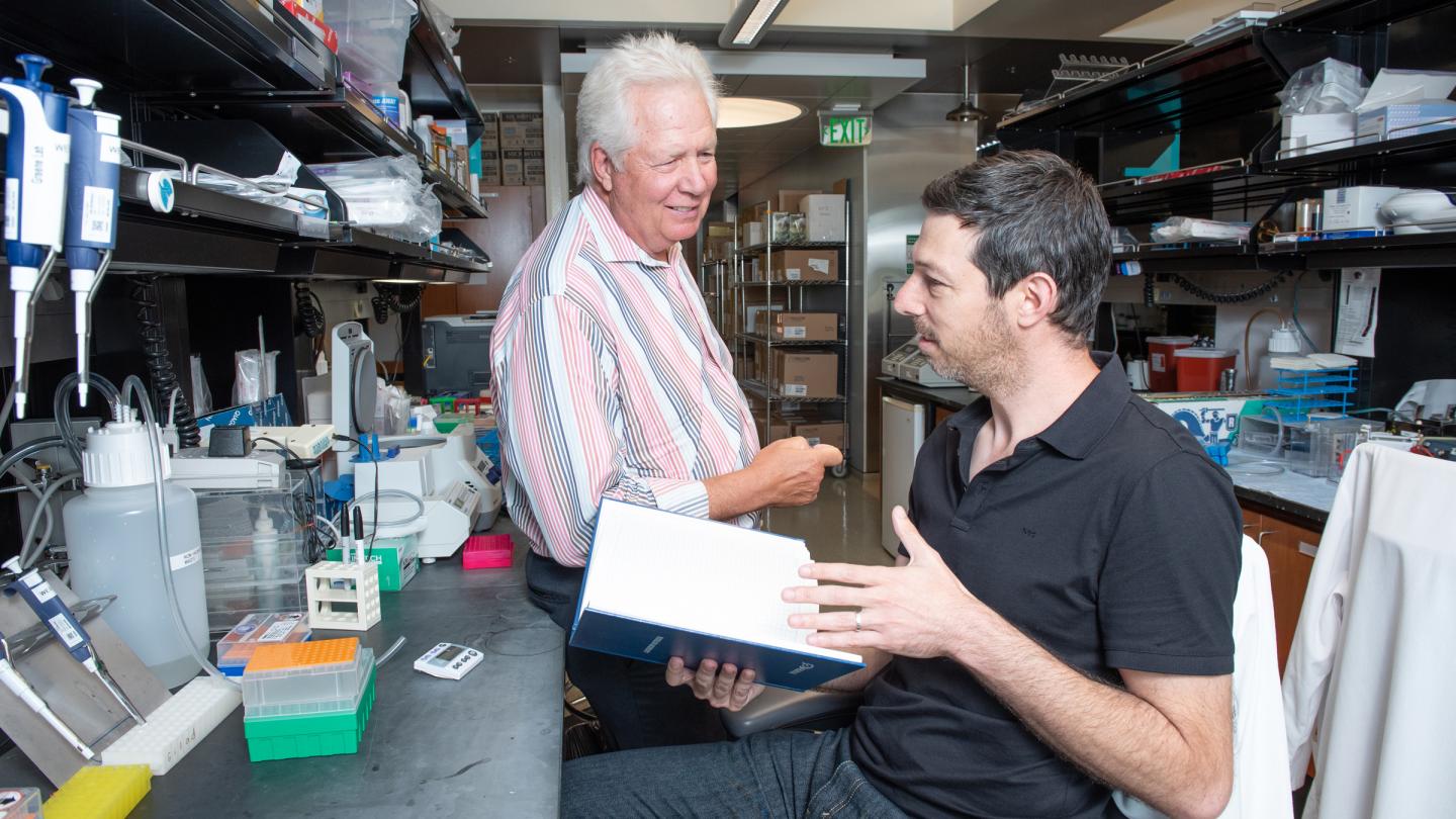 Warner C. Greene and Eytan Herzig Collaborated with Xyphos Biosciences, Inc